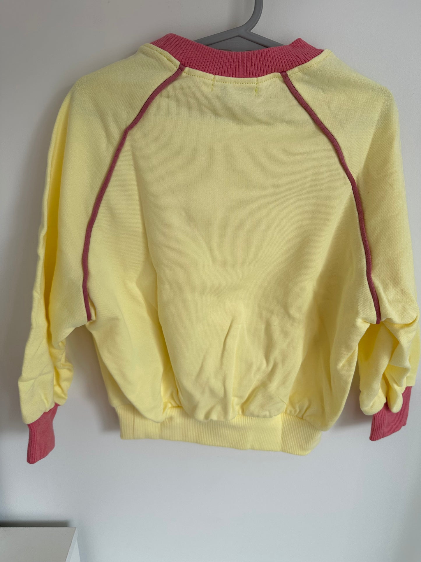 Pastel Yellow & Pink Crewneck