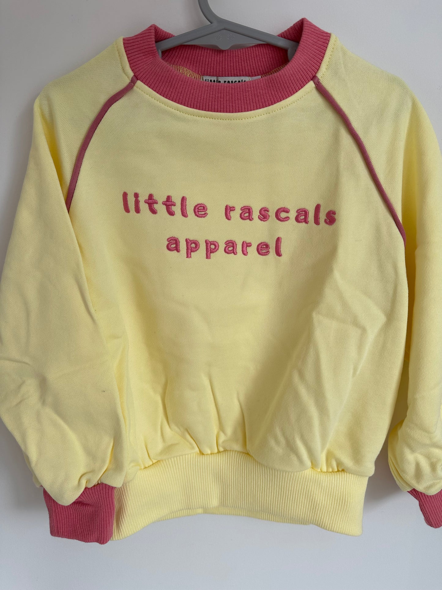 Pastel Yellow & Pink Crewneck
