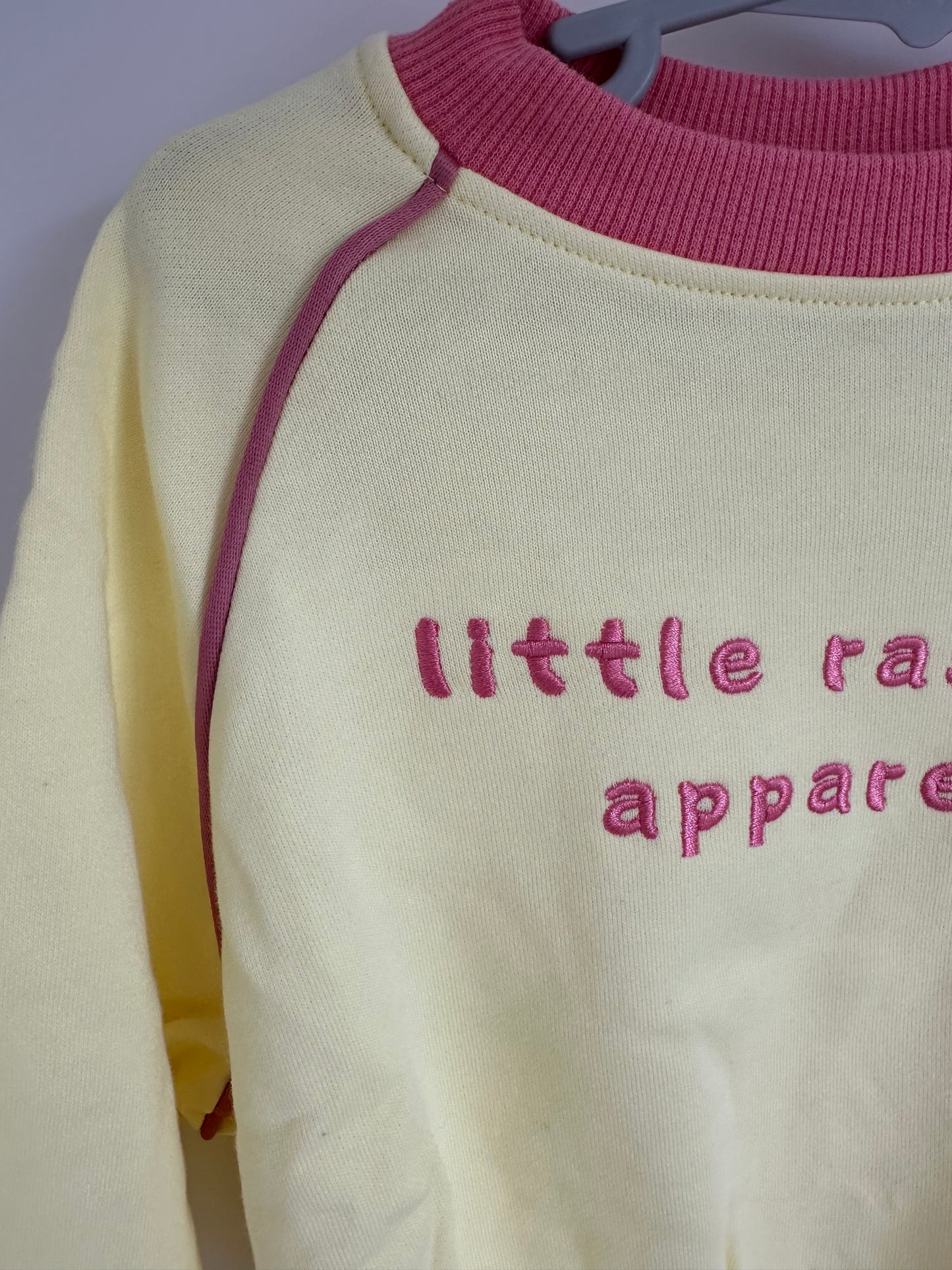 Pastel Yellow & Pink Crewneck