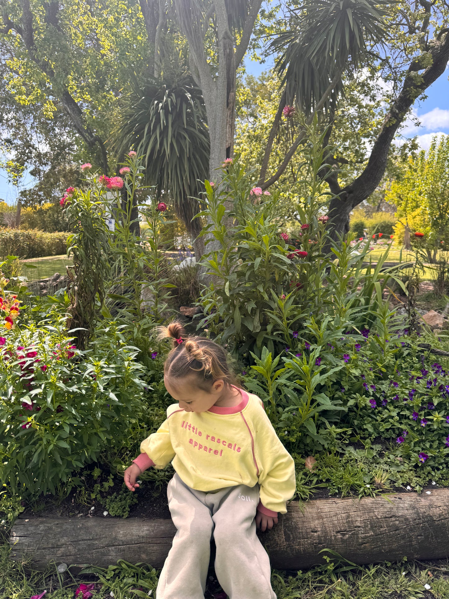 Pastel Yellow & Pink Crewneck